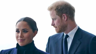 ‘It’s literally made up’: Royal insider shreds to pieces claims Prince Harry and Meghan Markle’s marriage is in turmoil