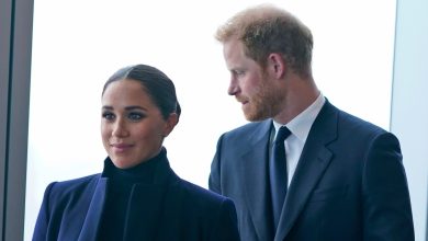 Royal insider's dire warning: Prince Harry & Meghan's marriage on the 'destructive' path