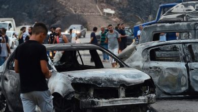 Wildfires in Algeria leave at least 34 people dead and hundreds injured