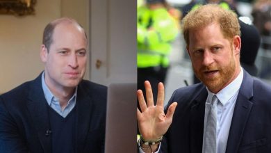 ‘No FaceTime and no Zoom’: Source refutes claims Prince Harry reached out to Prince William amid financial pressure