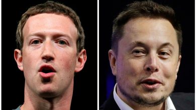 'Zuck vs Musk': Meta owner's subtle dig after Elon says cage fight to be streamed on X