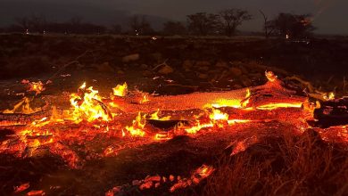 Maui, Hawaii's scorching tragedy: How human actions stoke the flames of disaster
