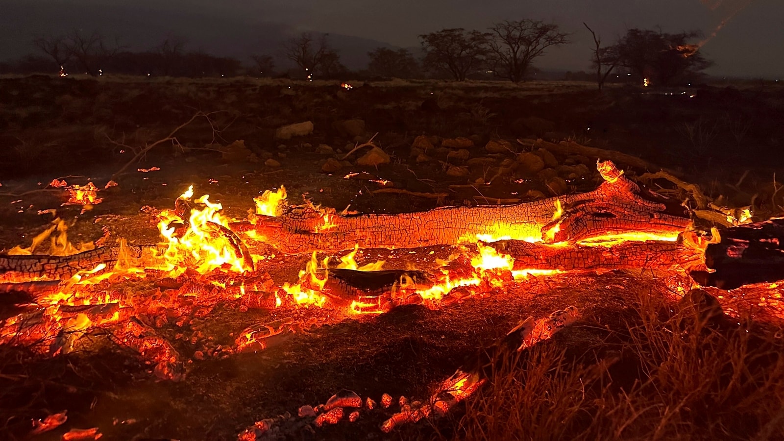 What caused the wildfire in Maui, Hawaii, that killed 36 people and