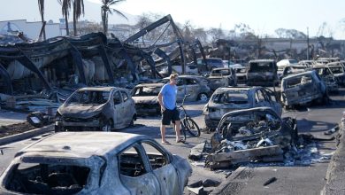 Emergency sirens fail to sound alarm as Maui residents forced to seek refuge in ocean amid horrific wildfire