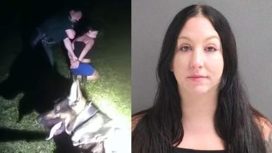 Florida woman spikes date’s drink with cockroach spray, gets tracked down by K-9