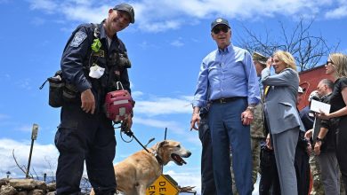 ‘Classless and stupid’: White House hits back over criticism of Joe Biden for petting a dog during Hawaii visit