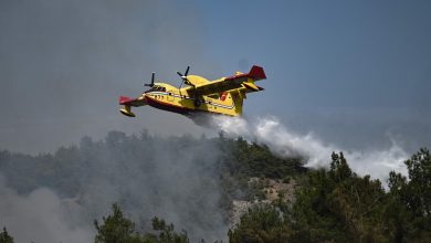 Greek wildfires continue to rage, death toll rises to 21