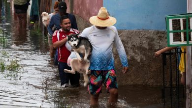 Hurricane Idalia prompts evacuations from Florida's Gulf Coast amid storm surge warning