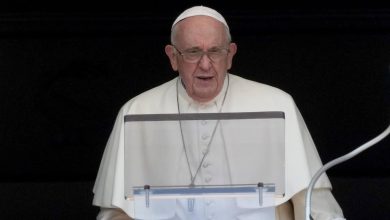 Pope Francis calls for peaceful end to Niger crisis