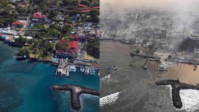 Wildfires destroy Hawaii's Lahaina town, 36 killed & several injured. Devastating images emerge