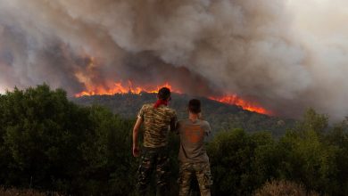 Greece wildfires will burn over 150,000 hectares, almost London's size: PM