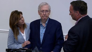 Mitch McConnell's health questioned again as he pauses for seven seconds during press conference