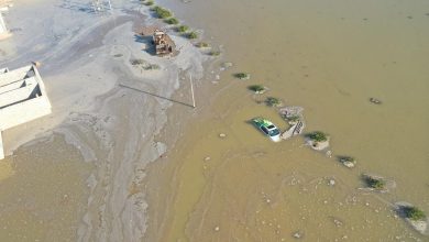 Libyan city of Derna declared a disaster zone after devastating flooding, dozens feared dead