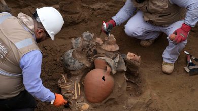 Gas workers discover eight mummies and pre-Inca artifacts, including Opium pipes under Lima streets, Peru