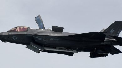 'A pilot in our house' shocked homeowner to dispatcher after F-35 ejection