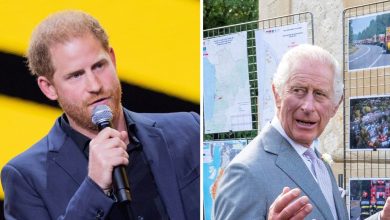 Prince Harry rejected an offer to spend first anniversary of Queen Elizabeth’s death with King Charles