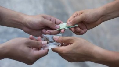 "On entend les cris de guetteurs en plein cours" : une université ferme ses portes temporairement en raison d'un trafic de drogue