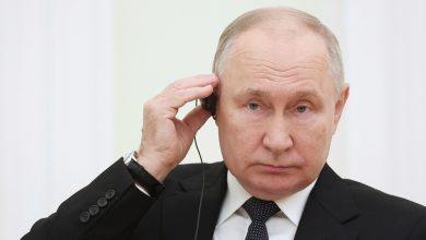 Russia's Putin blames US for ongoing Israel-Palestine crisis, urges two-State solution