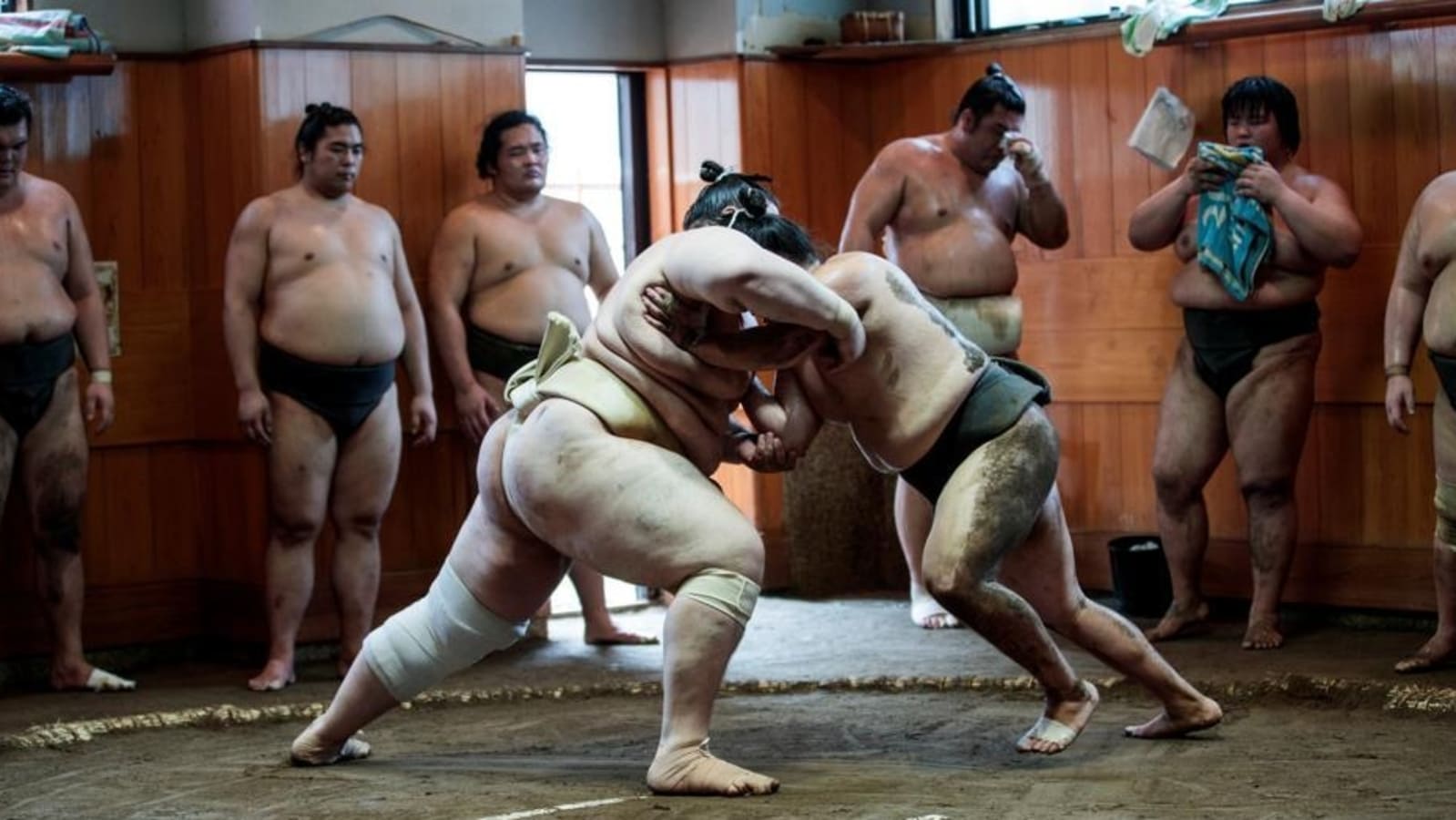 Sumo wrestlers found ‘too heavy’ to fly on two Boeing planes, airline arranges additional flight