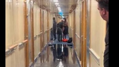Cruise ship passenger recalls horrifying experience of water entering her cabin- Watch