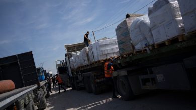 Eight more aid trucks expected to enter Gaza: UN official