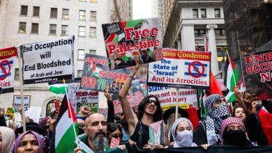 Artforum editor sacked for publishing pro-Palestine open letter, claims magazine acted 'under pressure': NYT Report