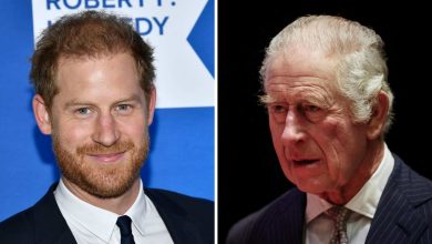 Prince Harry to skip King Charles' 75th birthday despite being invited