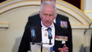 King Charles III’s birthday to be celebrated with special coin giveaways
