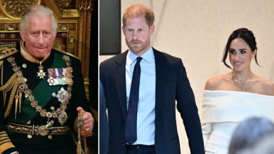 King Charles removed Meghan Markle, Prince Harry’s police protection as revenge after they left royal family: report