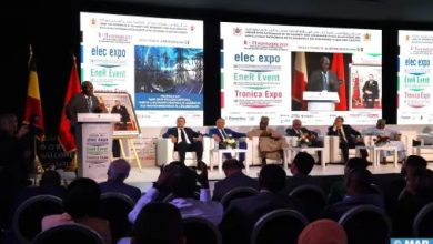 Electricité et énergies renouvelables : les marques marocaines appelées à se développer à l'export (M. Mezzour)