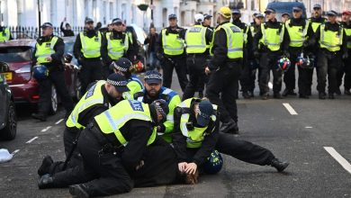 London police scuffle with far-right protesters near pro-Palestinian rally