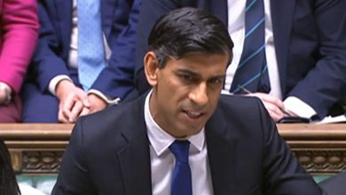 Rishi Sunak furious over violence during pro-Palestine rally in UK: ‘Thugs attacking…’