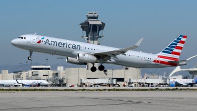 Man claims American Airlines downgraded girlfriend from first class to seat off-duty pilot