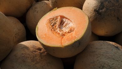 15 USA states report ‘salmonella infections’, cantaloupes feared to be the cause
