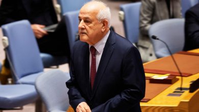 Palestinian UN ambassador calls for 'definitive end' to Israel-Hamas war