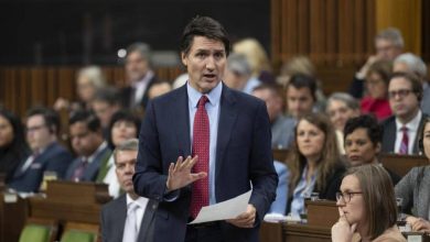 Trudeau highlights ‘rule of law’ at virtual G20 summit