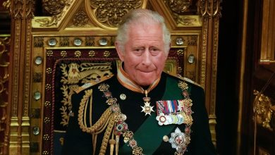 Shocking Report: King Charles III allegedly profiting from deceased citizens
