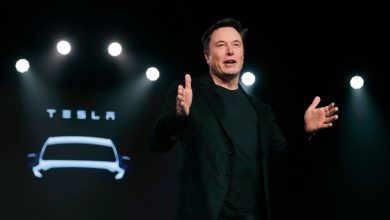‘This is Insane’: Elon Musk on strike against Tesla in Sweden