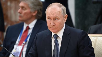 ‘Good results achieved under G20 summit hosted by India’: Russia