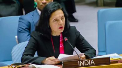 India reiterates support for Palestine, condemns civilian casualties in Israel-Hamas conflict