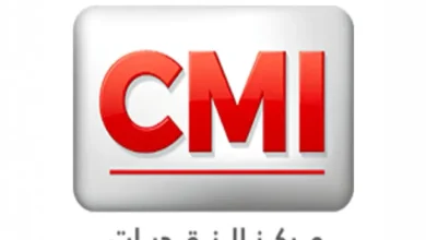 Paiement mobile : Trois questions au directeur du CMI, Rachid Saihi