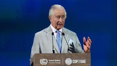 King Charles cites India floods at COP28 climate summit: What he said