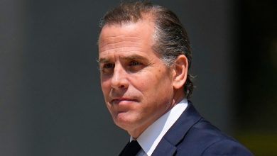 Hunter Biden slams critics, says they're ‘trying to destroy a presidency’