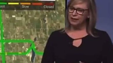 Watch: Canadian news anchor shuts up body-shamer on air. What she said