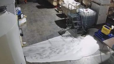 Watch: Burglar in US floods facility with white wine worth $600,000