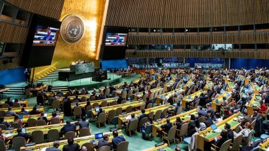 Amid Israel-Hamas war, India backs ceasefire in Gaza at UNGA