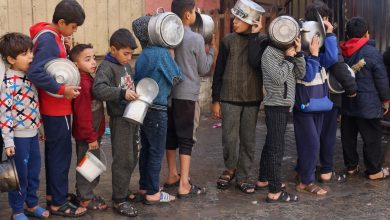 Food trucks being intercepted as hunger grows in Gaza amid war: UN