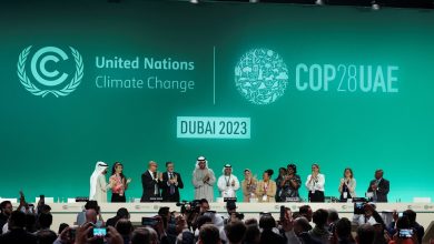 ‘Carbon capture, transitional fuels’: What are the loopholes in the COP28 climate deal?