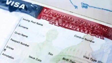 US releases H-1B visa pilot program eligibility, dates and application details; open to only Indians and Canadians