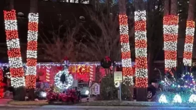 How this beloved years-long Christmas light show in Louisiana was cancelled over complaints